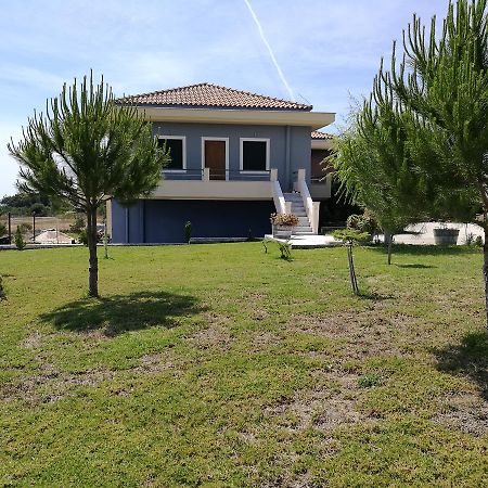 Alekos Beach Houses-Angelo Lixouri Eksteriør billede